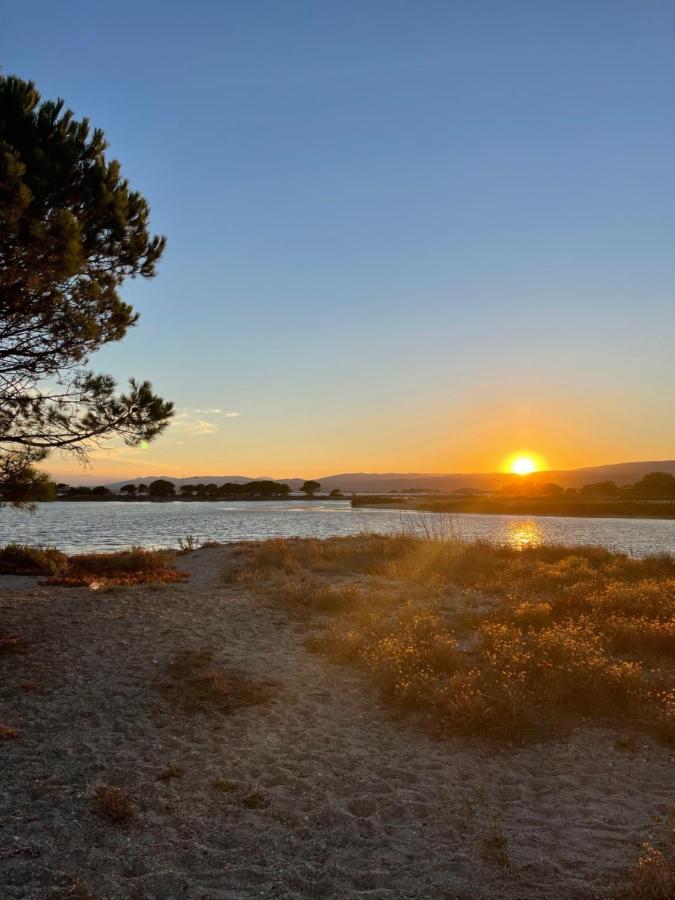 T2 Avec Terrasse, Vue Etang Et Son Coucher De Soleil, Plage A Proximite, Wifi Et Place De Parking Gratuit Que L On Nomme Puesta De Sol Le Barcarès Kültér fotó